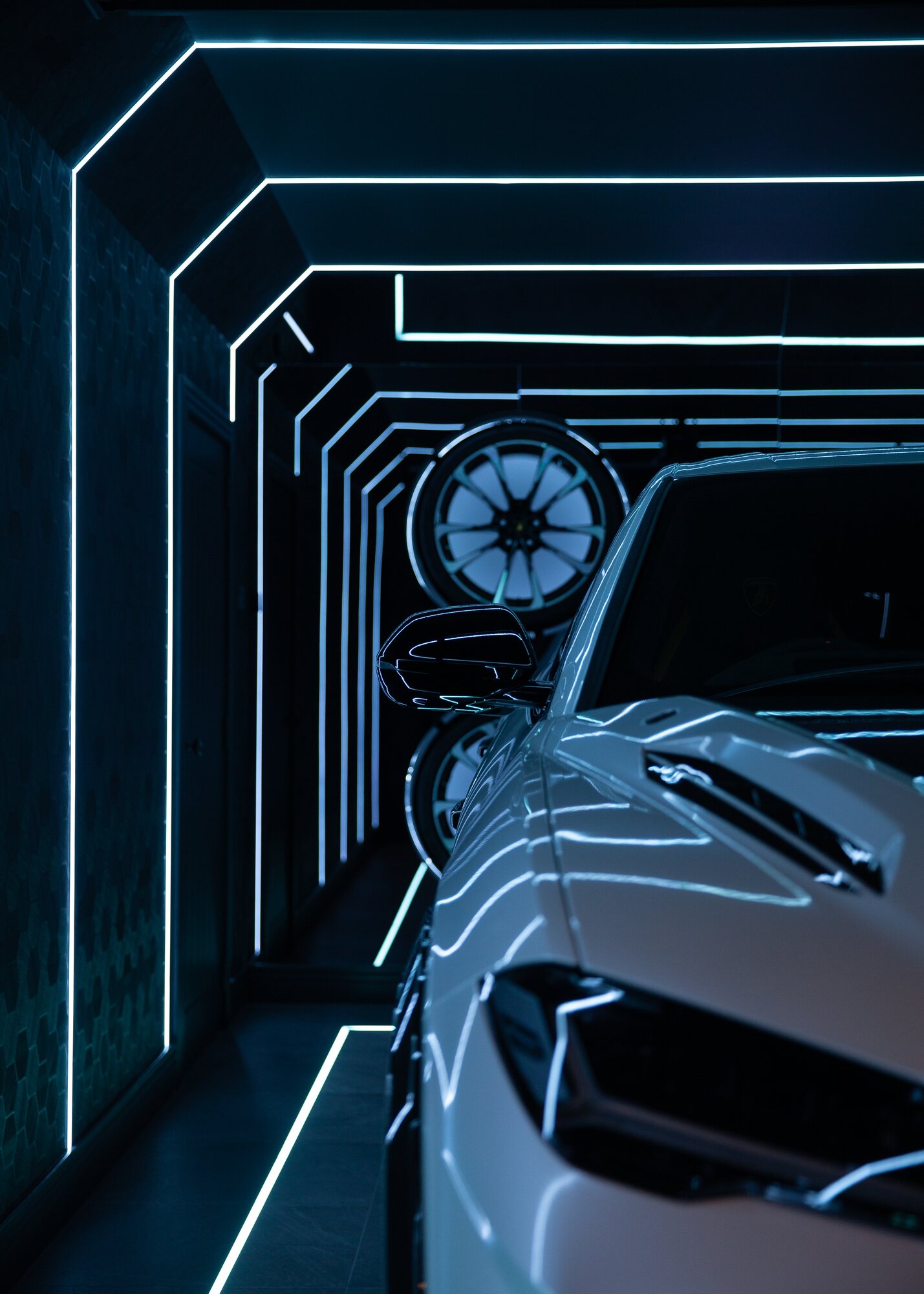 Lamborghini in the garage